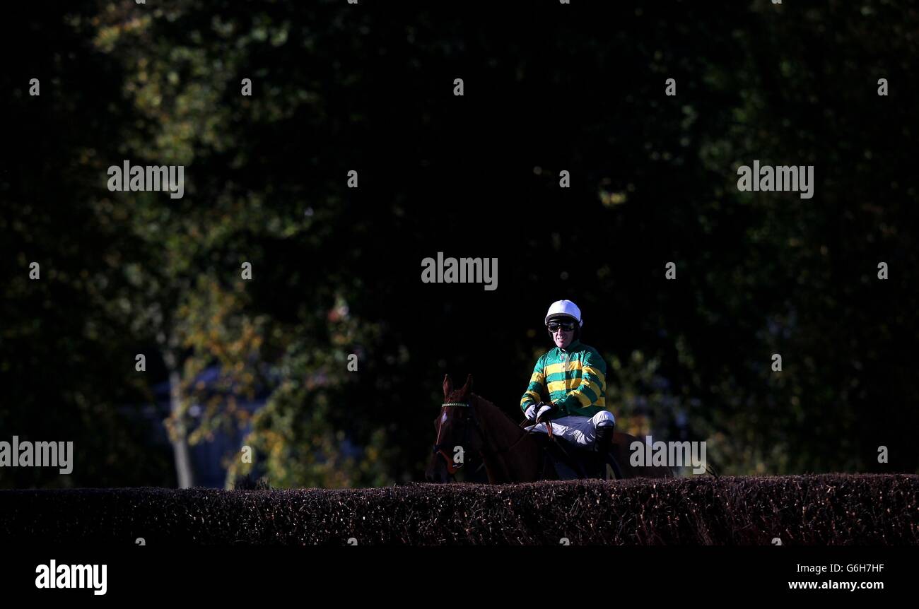Jockey Tony McCoy on Christopher Wren before the Richard Davis Memorial Handicap Chase at Worcester Racecourse, Worcester. Stock Photo