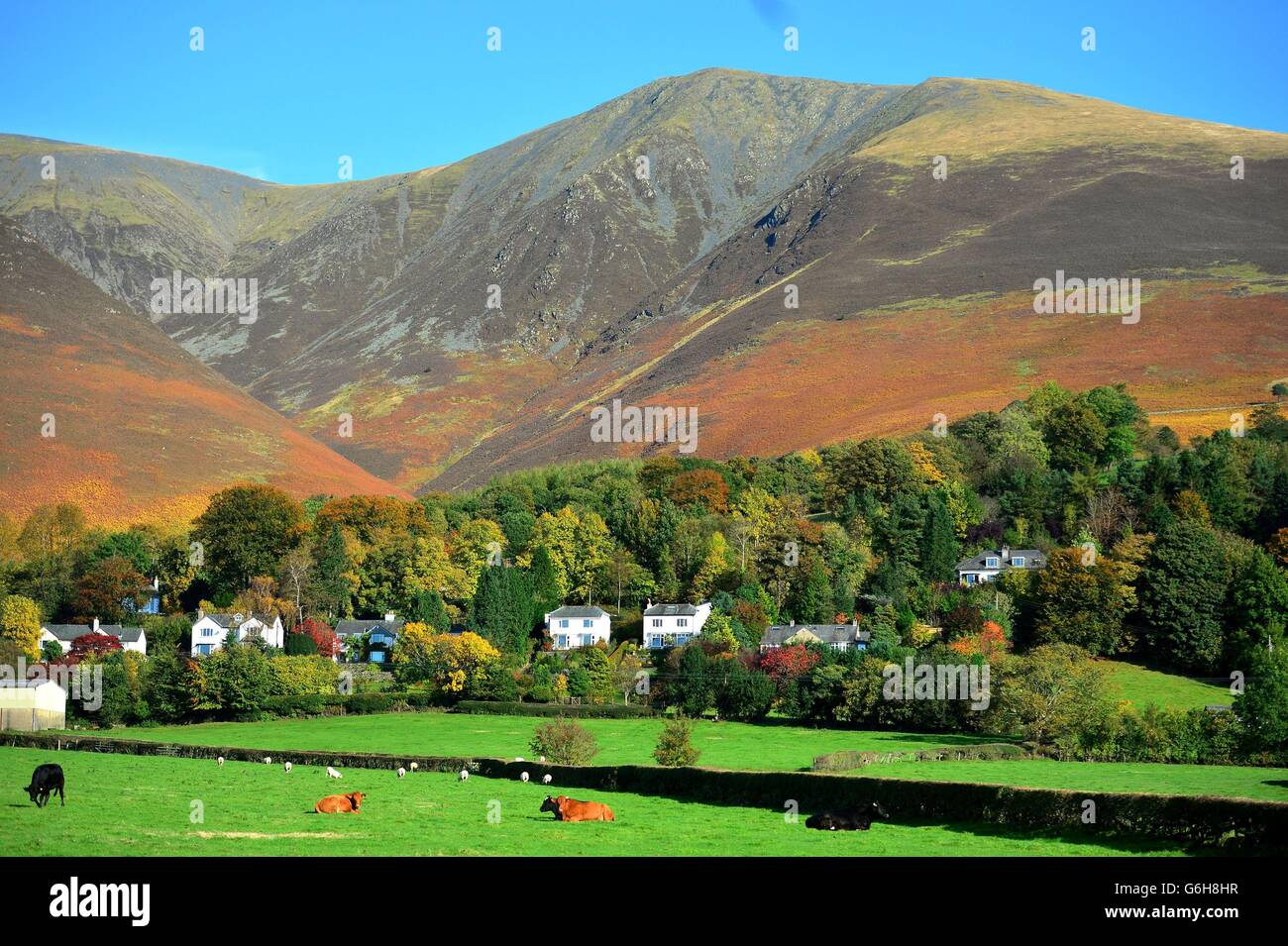 Autumn colours near Keswick in Cumbria ahead of the expected rains later this week. Stock Photo