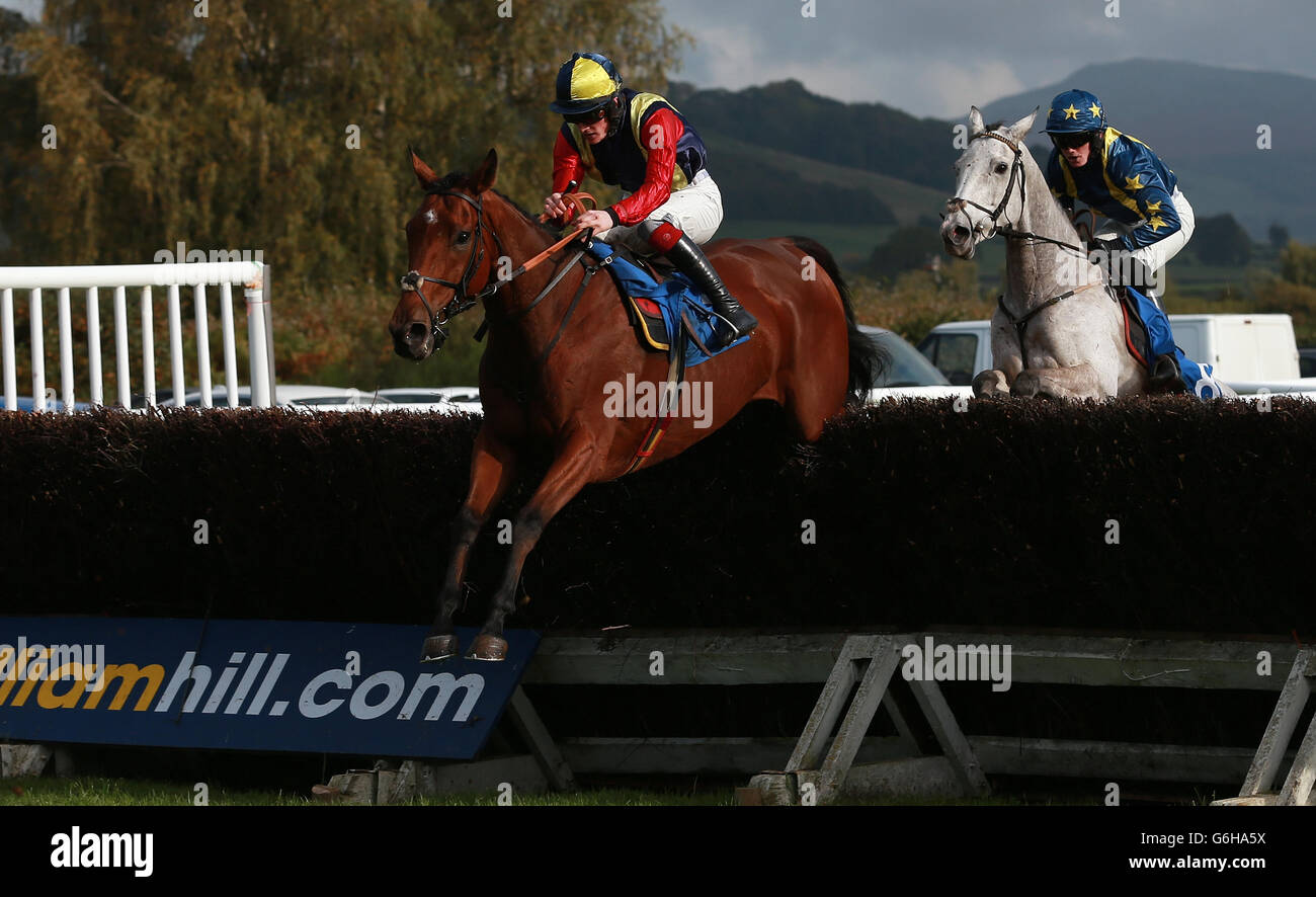 Horse Racing - Ludlow Racecourse Stock Photo - Alamy