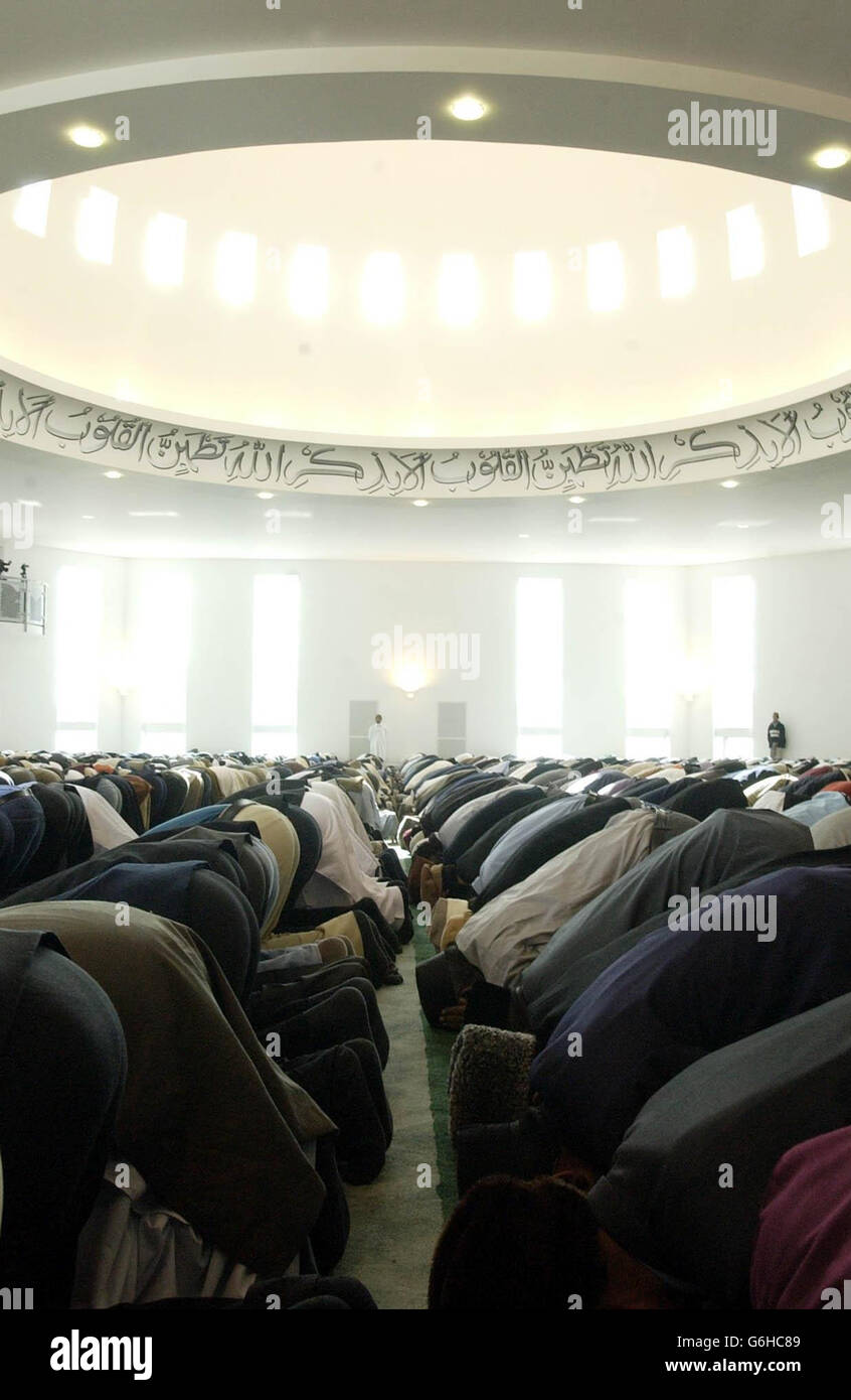 Worshipers observe prayer in the main prayer room at the Baitul Futuh Mosque in Morden, South London. Western Europe's largest mosque has today welcomed up to 10,000 worshippers taking part in a special inauguration ceremony. The mosque was built by Britain's Ahmadiyya Muslims who opened London's first mosque nearly 80 years ago. Stock Photo