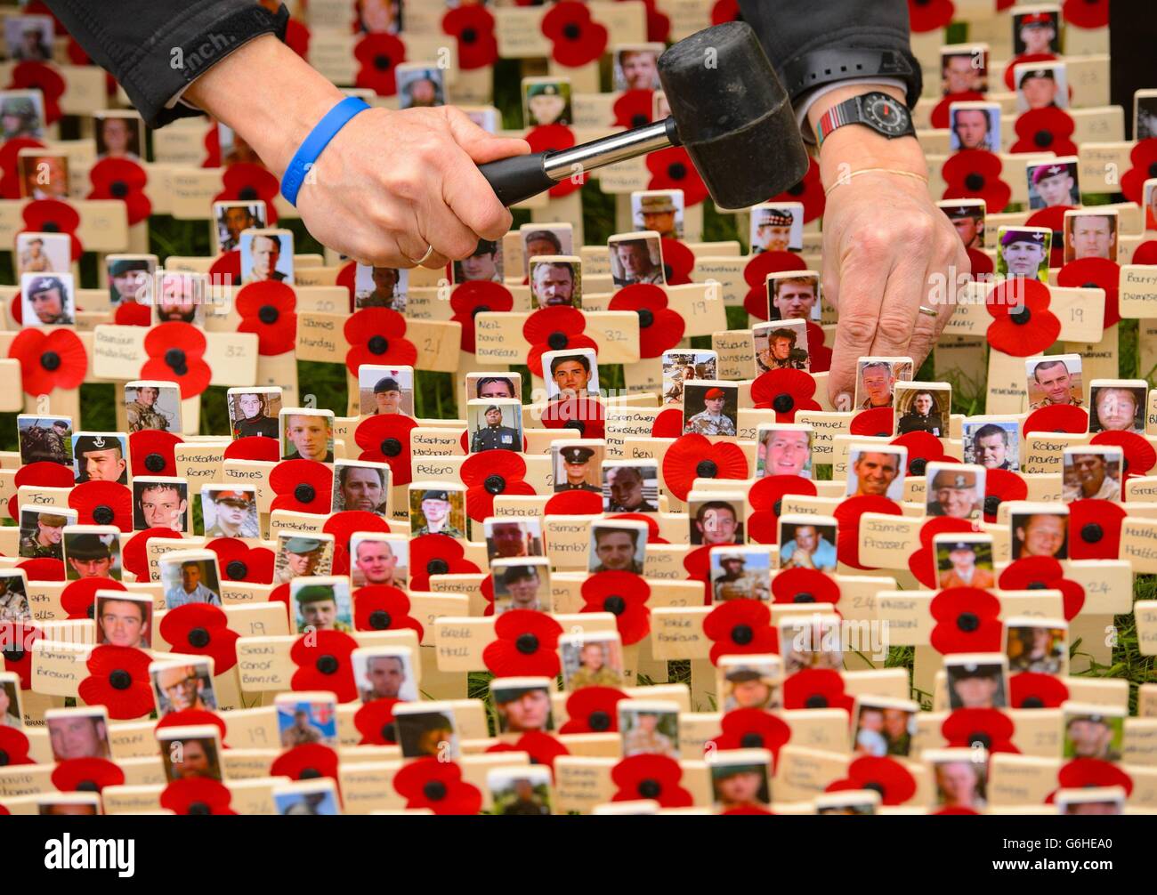 A man adjusts crosses at the Fields of Remembrance at Westminster Abbey in central London. Stock Photo