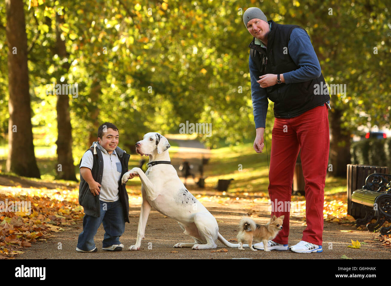 Neil Fingleton (right), the UK's tallest man and James Lusted (left), one of the UK's shortest men, take Ruach the Great Dane and Pickle the Chihuahua for a walk in London's Green Park, ahead of the Kennel Club's Discover Dogs event at Earls Court on 9 and 10 November. Stock Photo