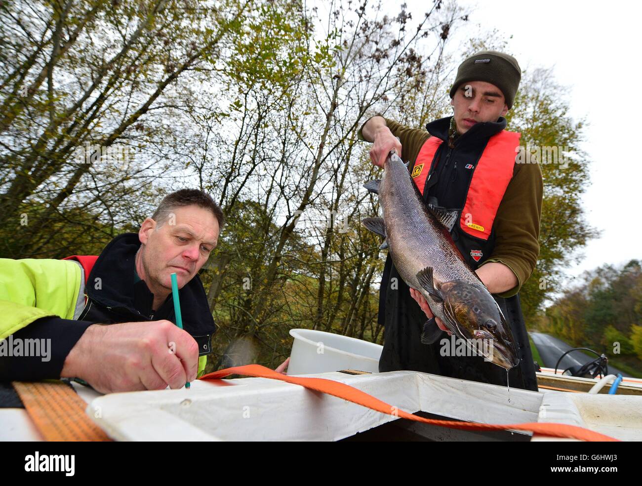 Fisheries officer Paul Frear (left) and hatchery assistant James Hanson