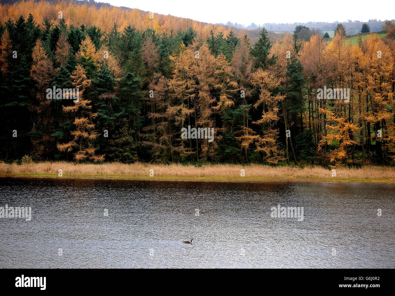 Underbank reservoir hires stock photography and images Alamy