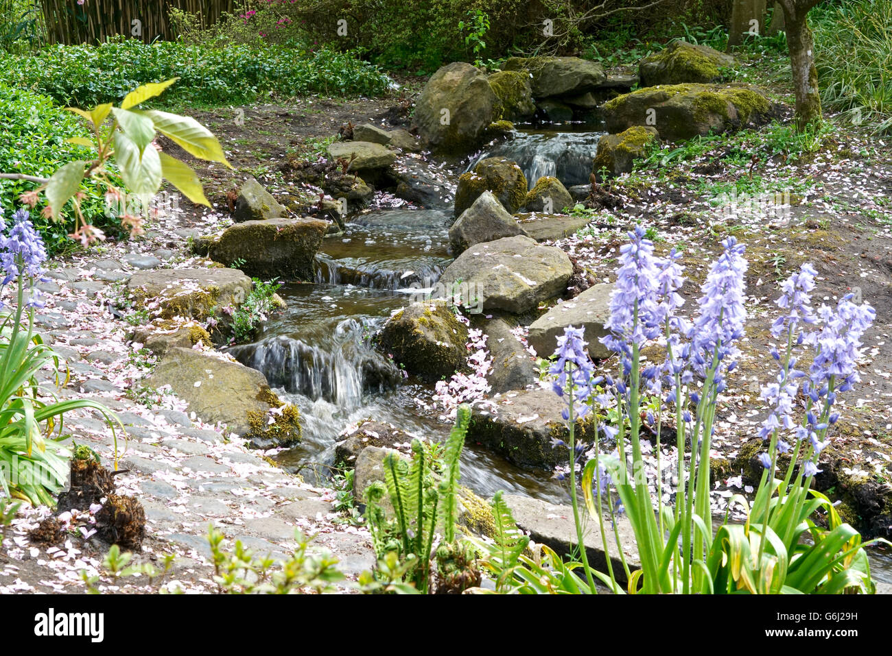 watercourse between flowers and plants Stock Photo