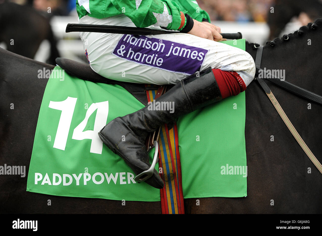 Horse Racing - The Open Festival 2013 - Paddy Power Gold Cup Day - Cheltenham Racecourse. Harrison James and Hardie and Paddypower branding on the saddlecloth of Jockey SamTwiston-Davies on Astracad. Stock Photo