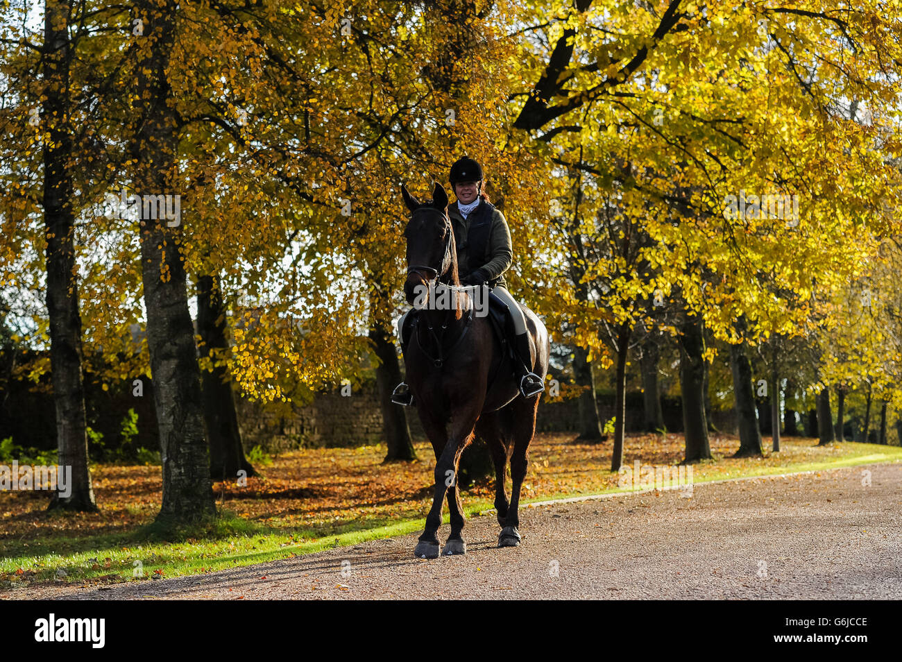 Sharon Fletcher riding Taragon in Sawley Hall, North Yorkshire Stock