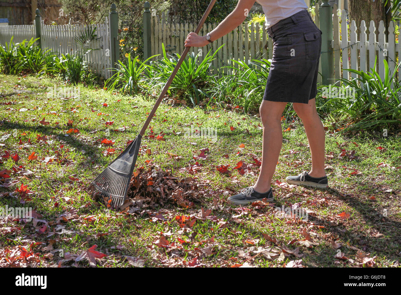 Using rake close up hi-res stock photography and images - Alamy