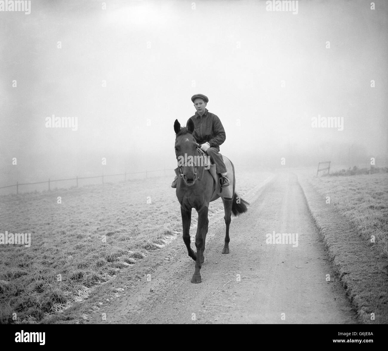 No leg horse riding hires stock photography and images Alamy