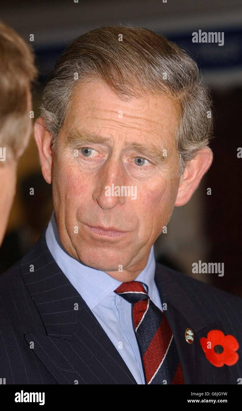 Prince Charles in India Stock Photo