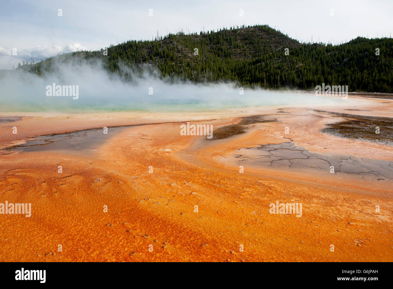 Hot spring in Yellowstone National Park, Wyoming, USA Stock Photo