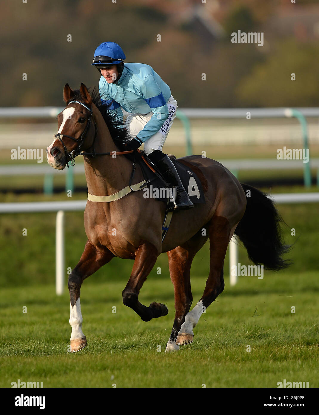 Ruapehu ridden by jockey Nick Scholfield goes to post in the lingfieldpark.co.uk Novices' Chase Stock Photo