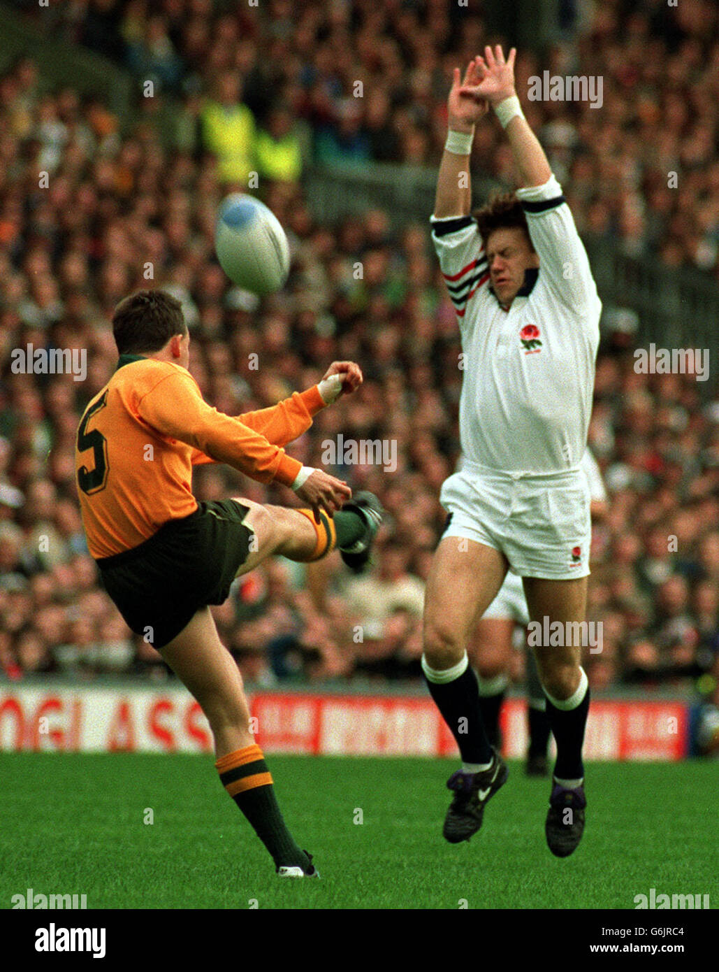 Rugby World Cup 1991. Simon Halliday attempts to take the ball from Australia's John Eagles during the Rugby World Cup Final at Twickenham. Stock Photo