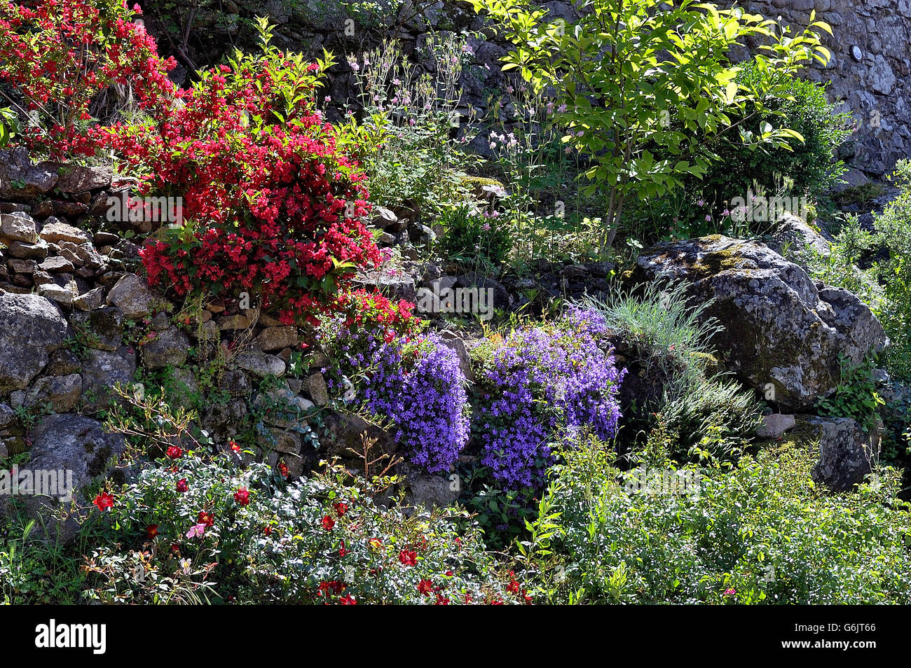 Garden very flowered amid the rubble in Corbes mill in the French department of Gard Stock Photo
