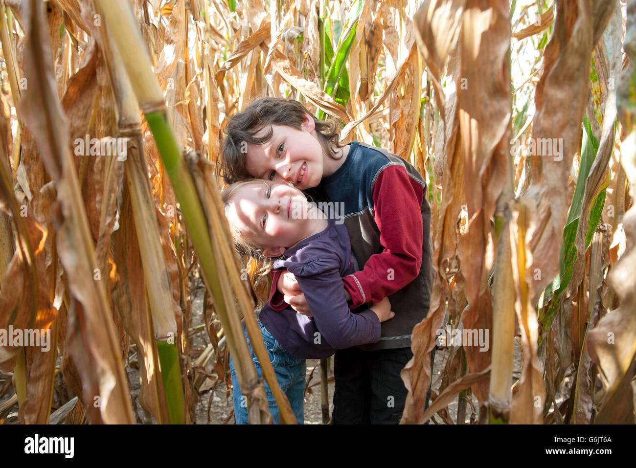 Young siblings embracing in cornfield, portrait Stock Photo