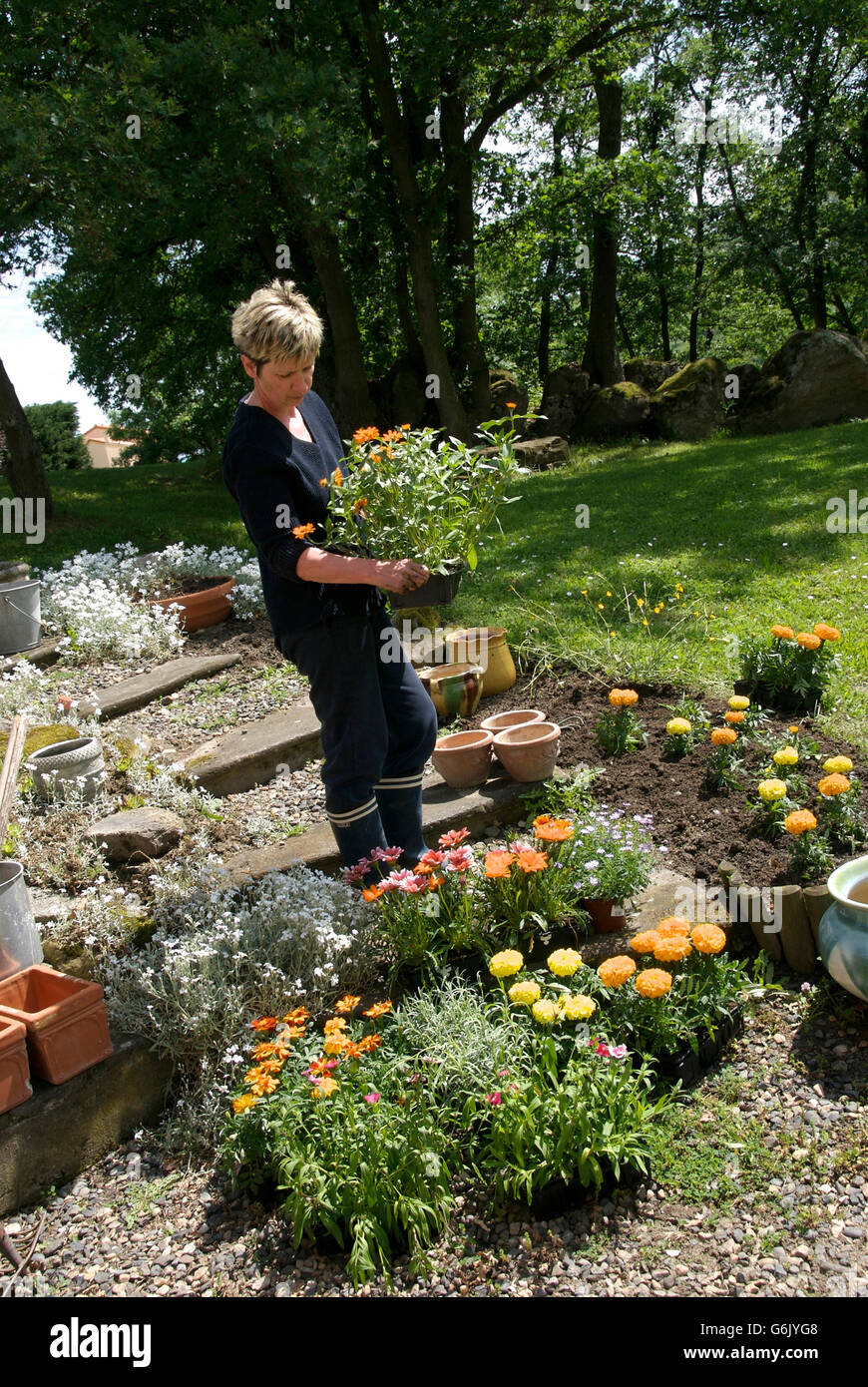 Woman gardening Stock Photo