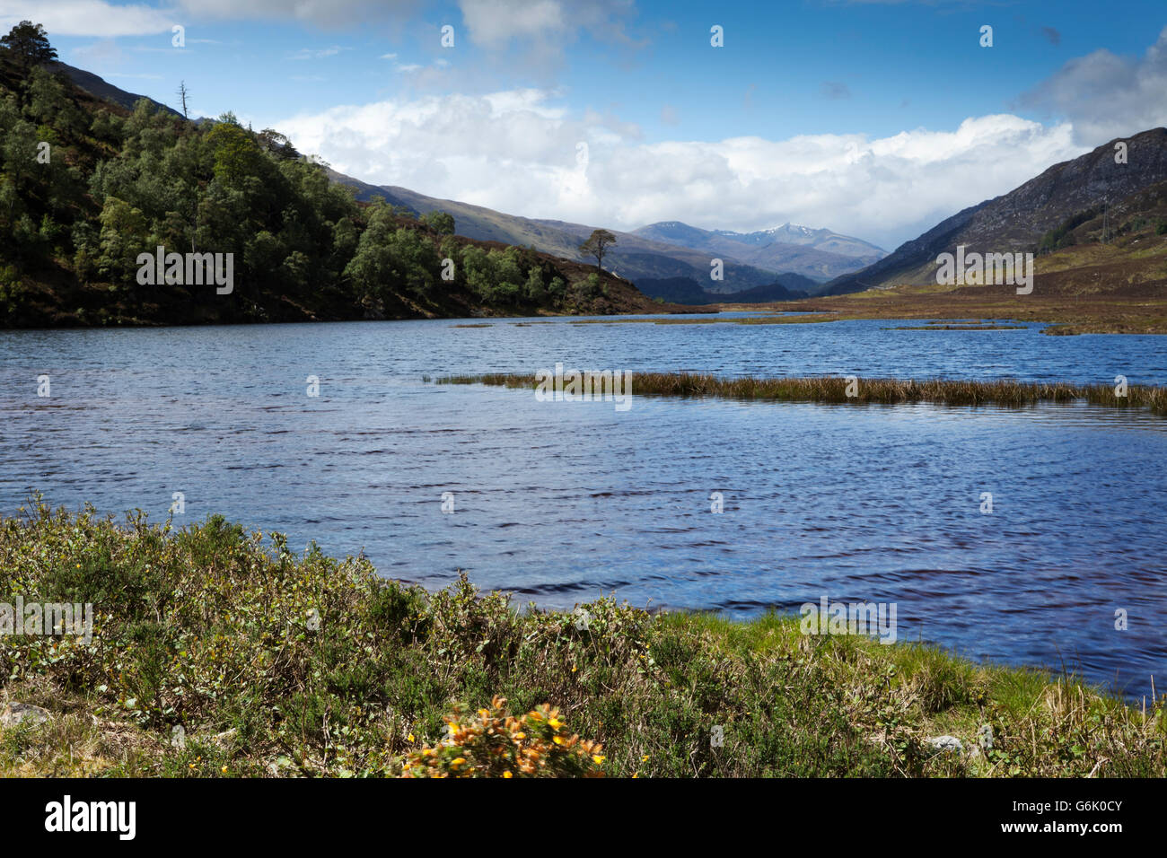 Looking west from the mouth of Loch Beannacharan, towards the upper reaches of Glen Strathfarrar in the Scottish Highlands Stock Photo