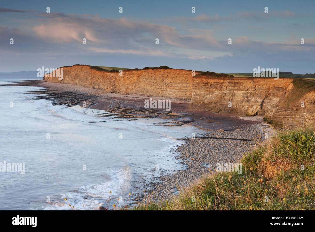 Clifftop in evening light, on the north Somerset coast, between Kilve and Lilstock, Somerset, England, United Kingdom, Europe Stock Photo