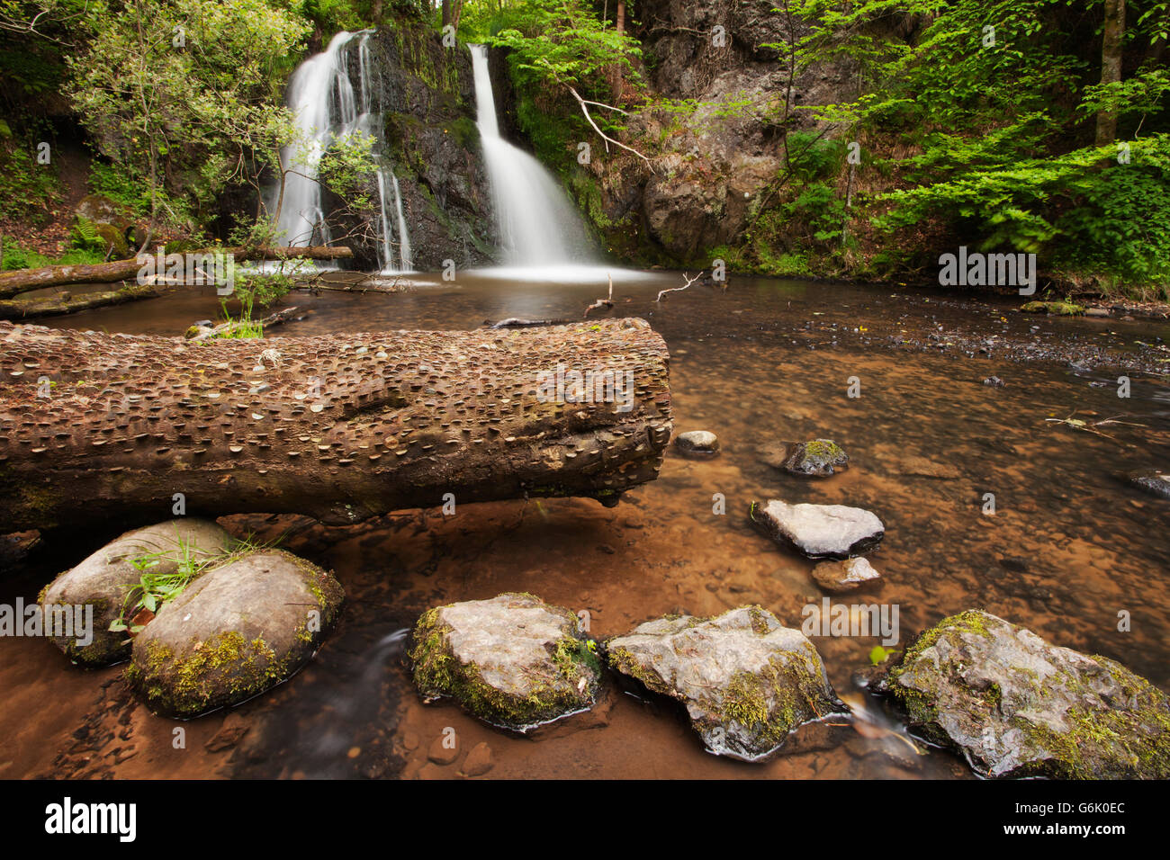 Upper falls at Fairy Glen, Black Isle, Scotland, United Kingdom, Europe Stock Photo