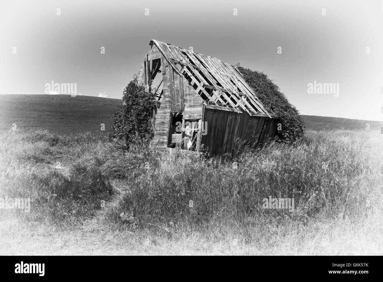 Digitally created pencil sketch of a Derelict wooden house, Idaho, USA Stock Photo