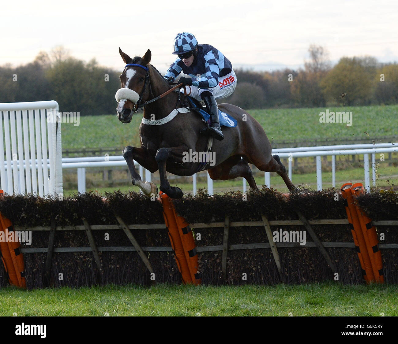 Horse Racing - Countryside Day - Wetherby Racecourse. Diamond King and ...