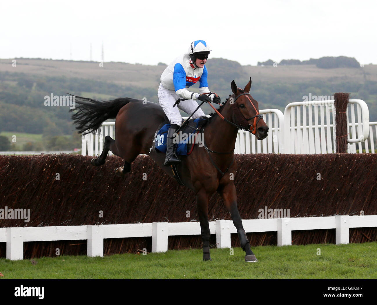 Dammam ridden by jockey Miss A. E. Stirling in the Fine & Country North Cotswolds Amateur Riders' Handicap Chase during day one of The Showcase Meeting at Cheltenham Racecourse, Cheltenham. Stock Photo