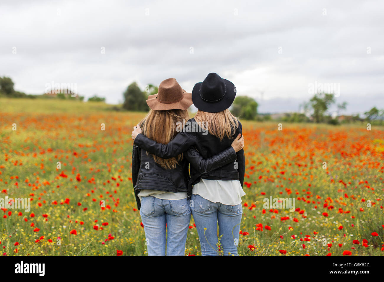 Two woman standing on a poppy field, embracing Stock Photo - Alamy