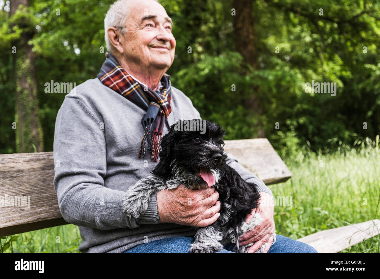 Smiling senior man sitting with his dog on a bench in nature Stock ...