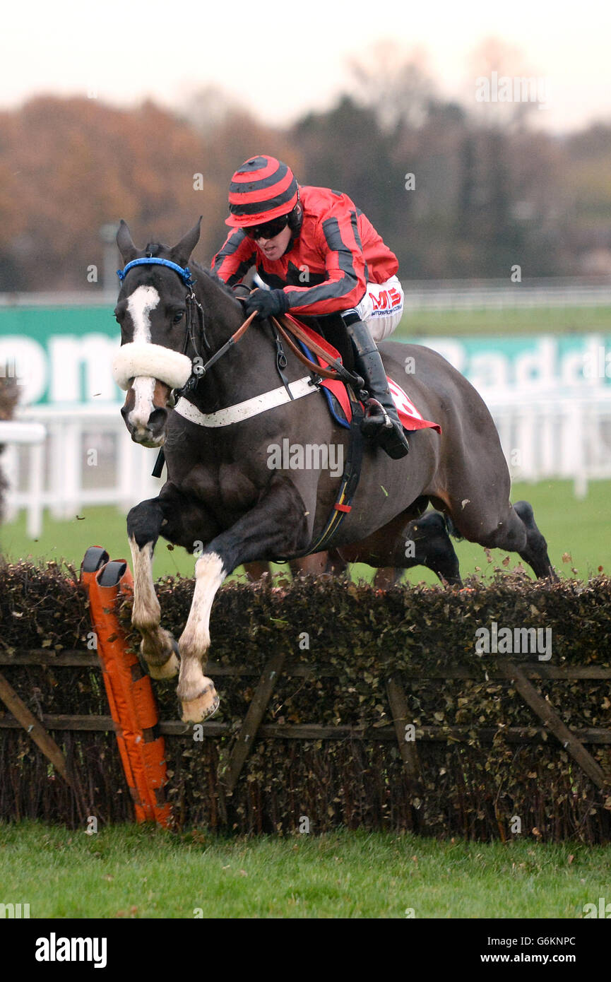 Horse Racing - Tingle Creek Christmas Festival - Day One - Sandown Park. Apollo Eleven ridden by Jason Maguire during the S Creative PR and Talent Management Novices' Handicap Hurdle Stock Photo
