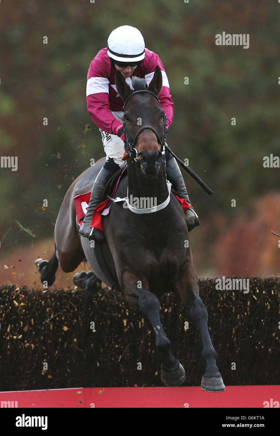 Si C'Etait Vrai ridden by Mark Enright during day two of the Winter Festival at Punchestown Racecourse, Co. Kildare, Ireland. Stock Photo