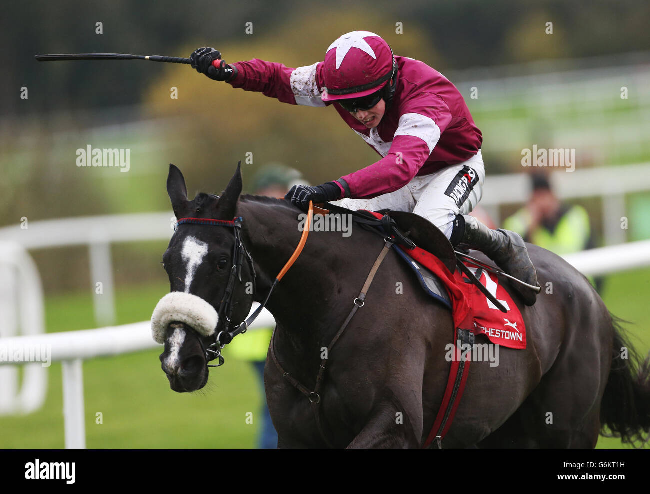 Si C'Etait Vrai ridden by Mark Enright during day two of the Winter Festival at Punchestown Racecourse, Co. Kildare, Ireland. Stock Photo
