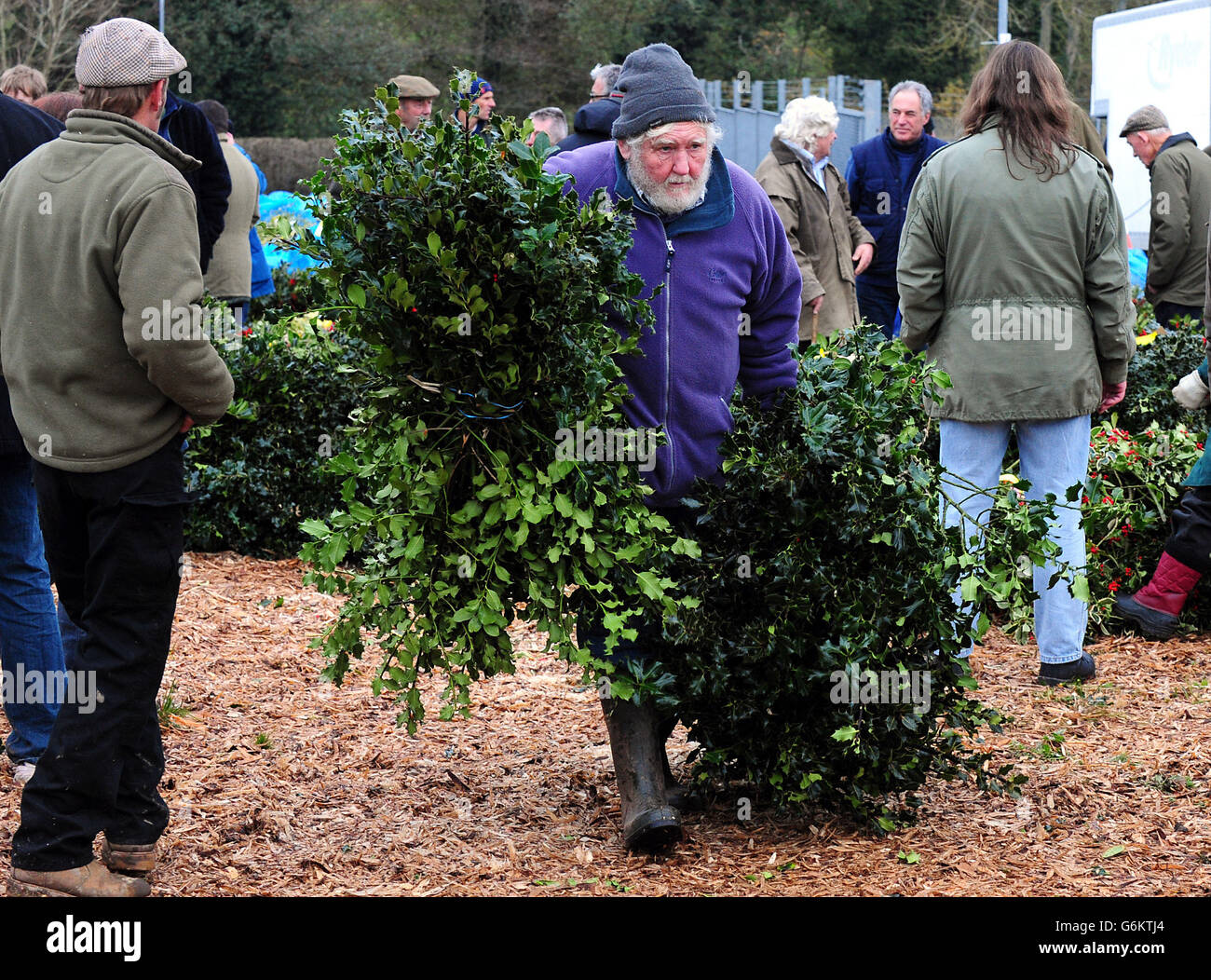 A man carries holly at the auction sale of holly, mistletoe, wreaths