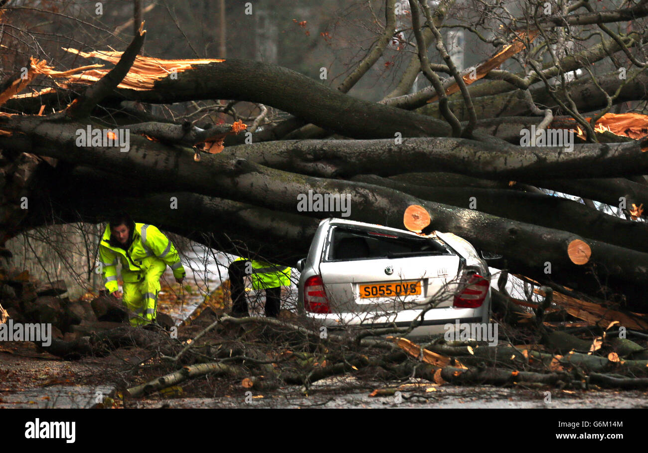 A tree lands on a car in Davidsons Mains, Edinburgh after Scotland is hit by strong winds. Stock Photo