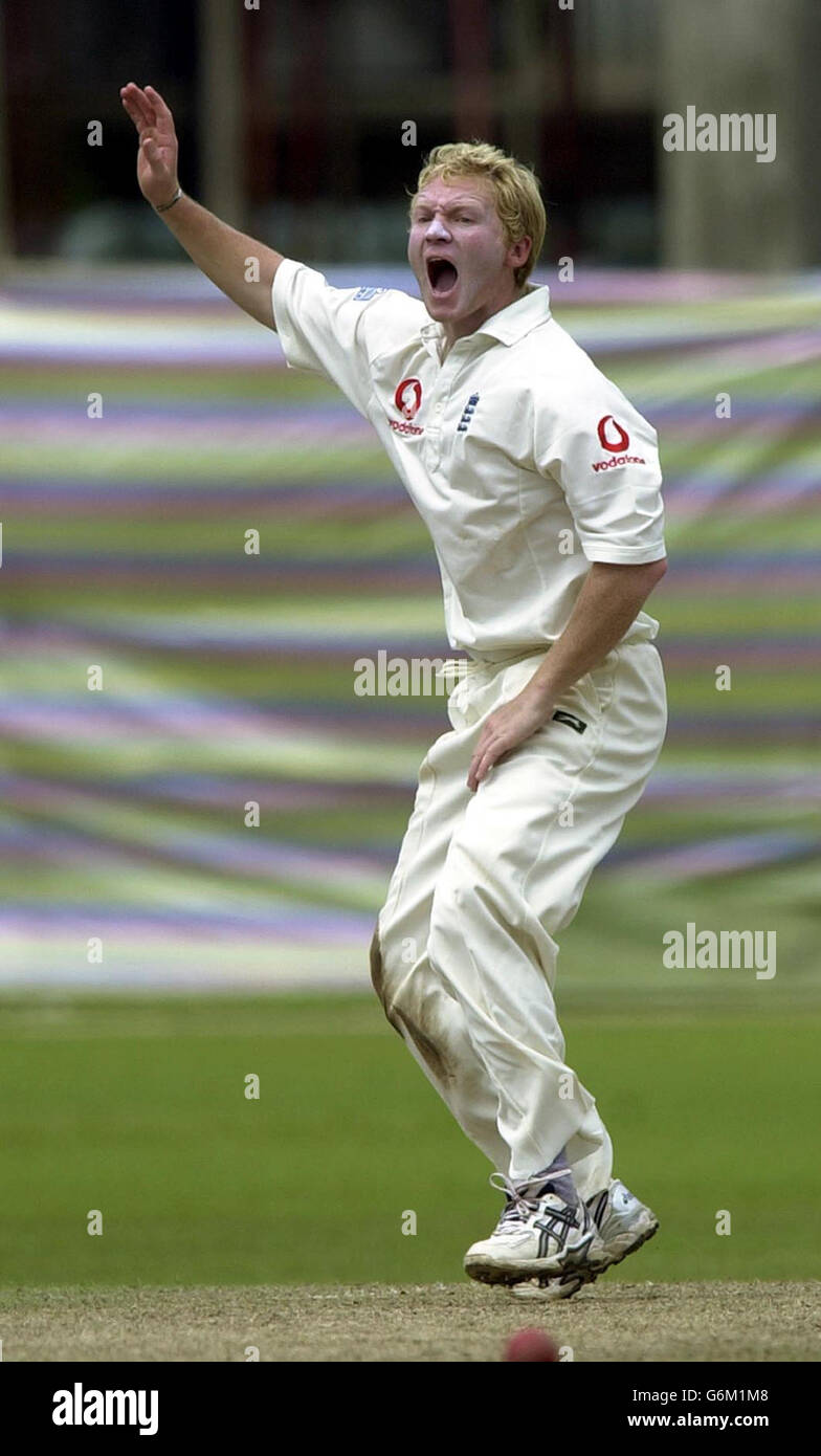 England bowler Gareth Batty appeals unsuccessfully for the wicket of Rusel Arnold as England take on the Sri Lanka Cricket President's XI at the Colombo Cricket Club in preparation for the upcoming Test series. Stock Photo