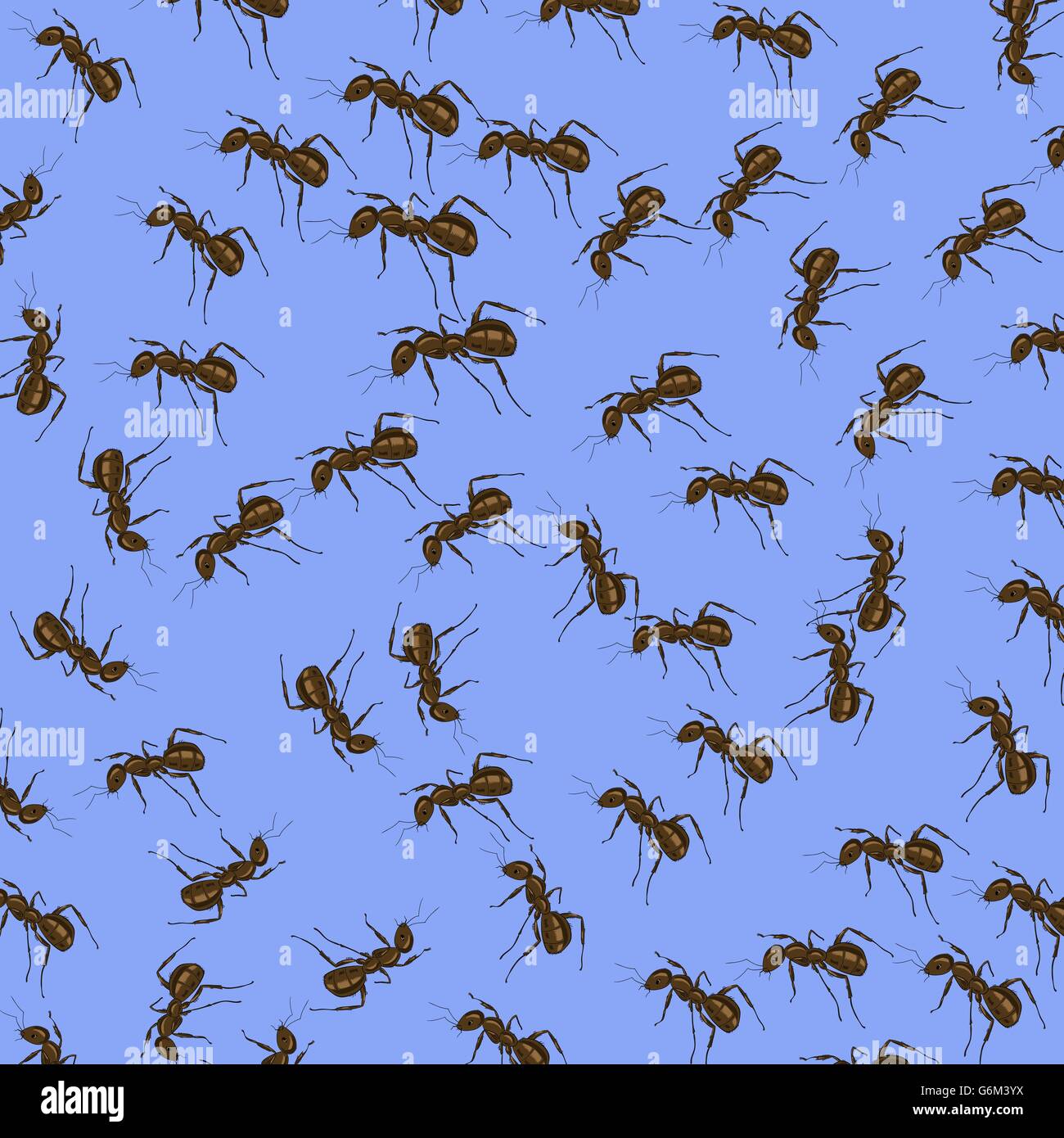 Animal Pattern. Ant Isolated Stock Vector