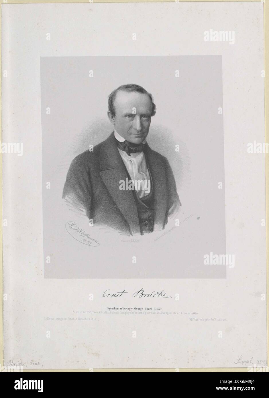 Brücke, Ernst Wilhelm von Stock Photo Alamy