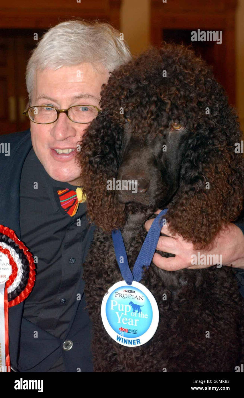 The winner of the Pup of the Year competition held at The Brewery, Barbican, London, was 19 month old Irish Water Spaniel Woods who was bred by owner Martyn Ford of Birstall, Leicester. Stock Photo