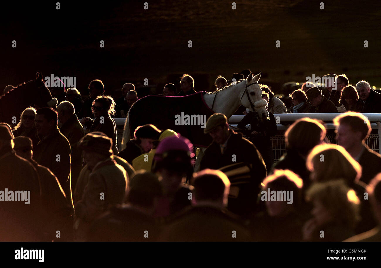 Hexham racecourse hires stock photography and images Alamy