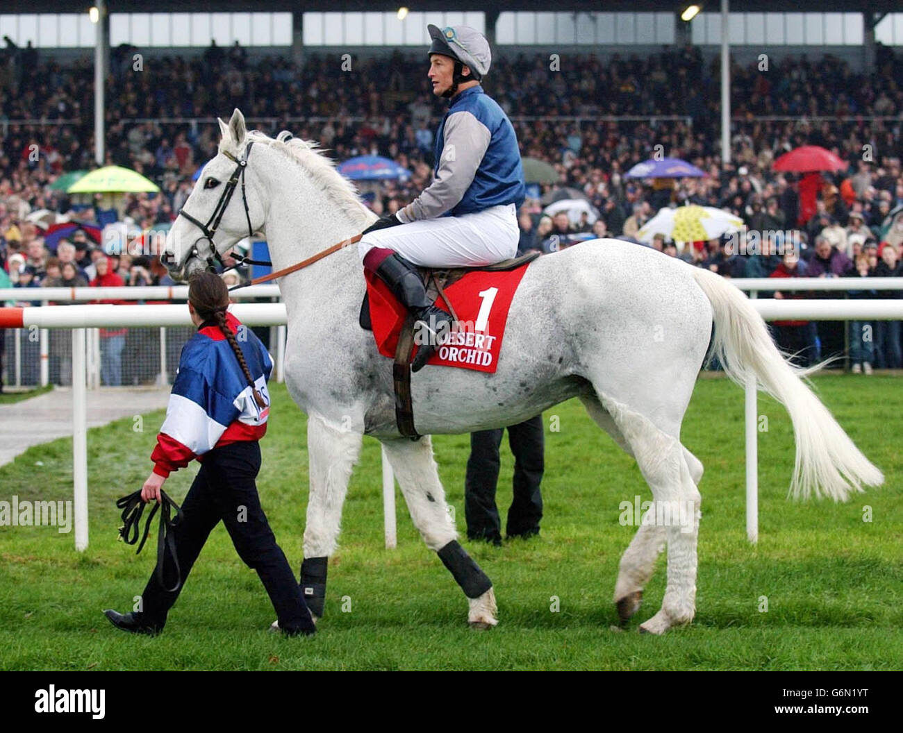 Richard dunwoody desert orchid hi-res stock photography and images - Alamy