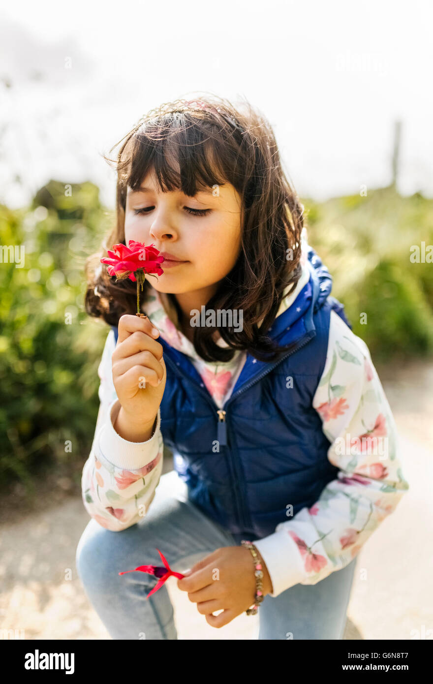 Portrait of little girl smelling red flower Stock Photo - Alamy