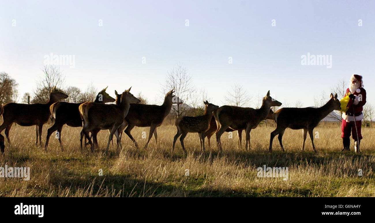Undated photo of park keeper Graeme Taylor dressed as Santa Claus