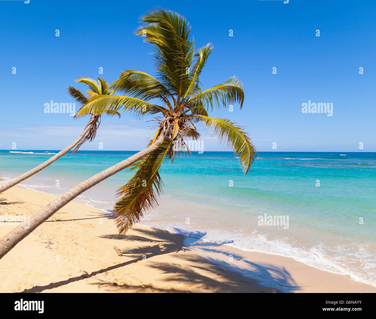 Tropical beach with palm trees hi-res stock photography and images - Alamy
