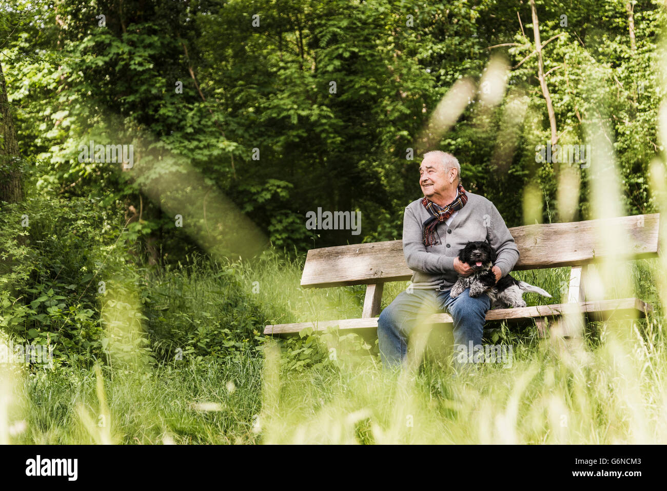 Smiling senior man sitting with his dog on a bench in nature Stock ...