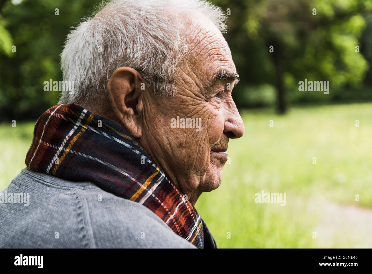 Profile of senior man in nature Stock Photo - Alamy