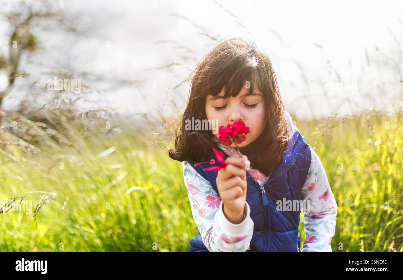 Portrait of little girl smelling red flower Stock Photo - Alamy