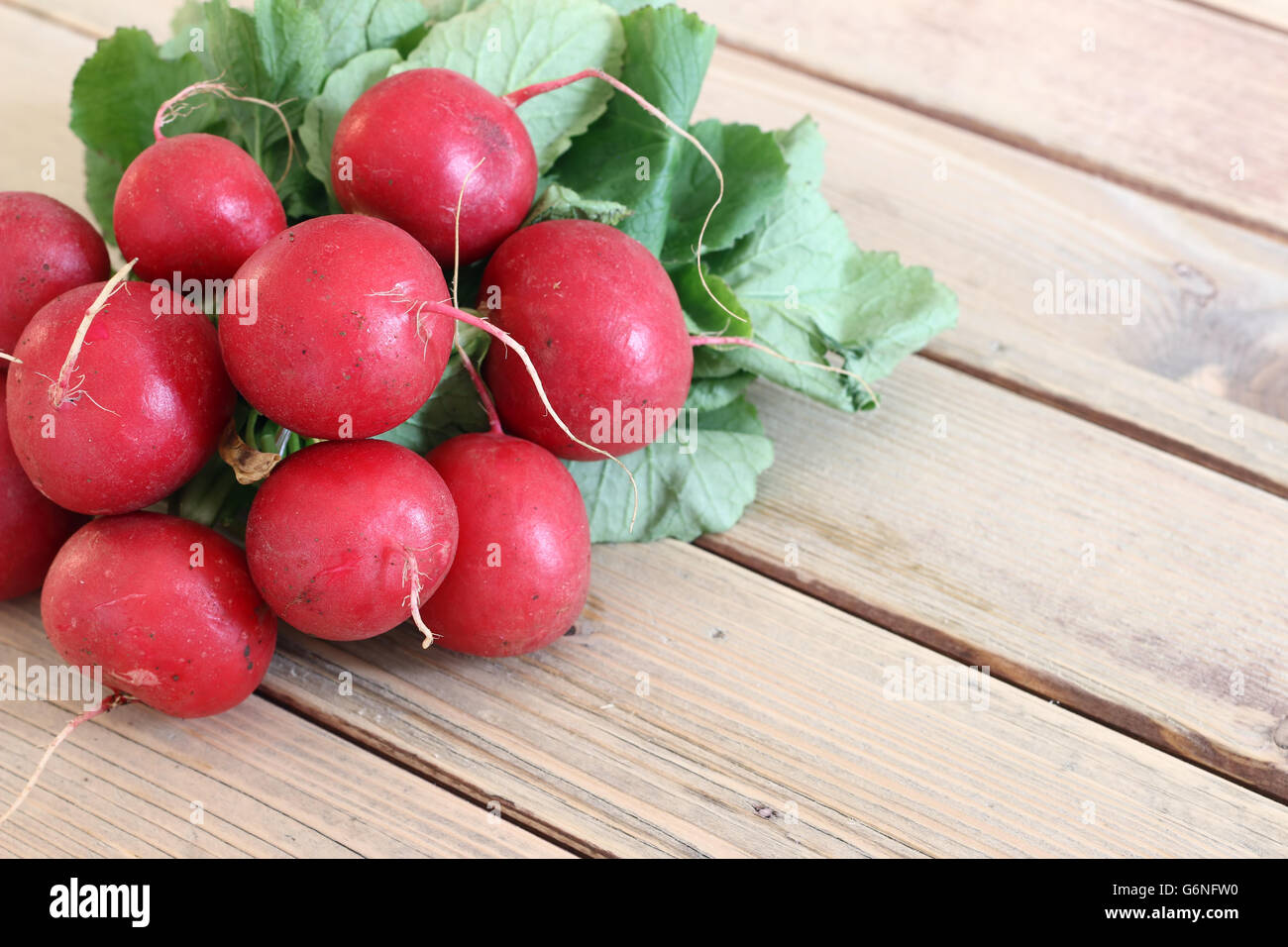 Detail of the bunch fresh radish Stock Photo