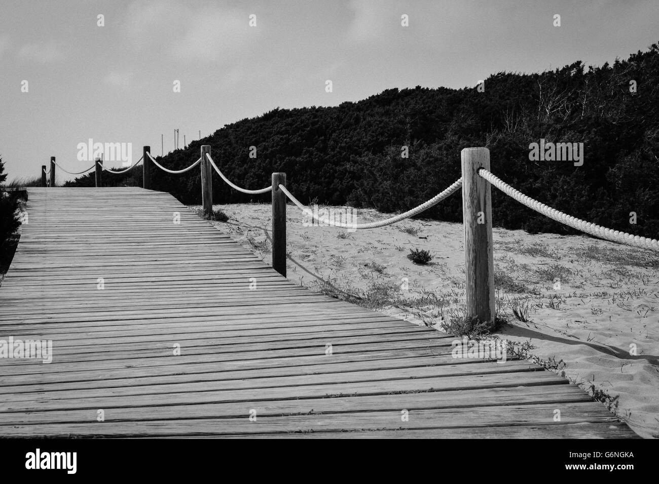 Black and white photography of wooden boardwalk protecting the sand dunes at Es Arenals, Formentera, Balearic Island, Spain Stock Photo