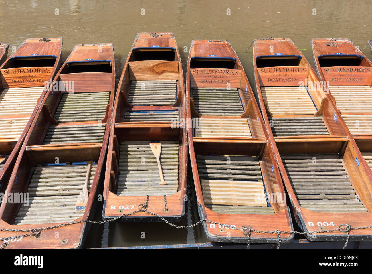 Punts moored on the River Cam in Cambridge UK owned by Scudamores Stock Photo