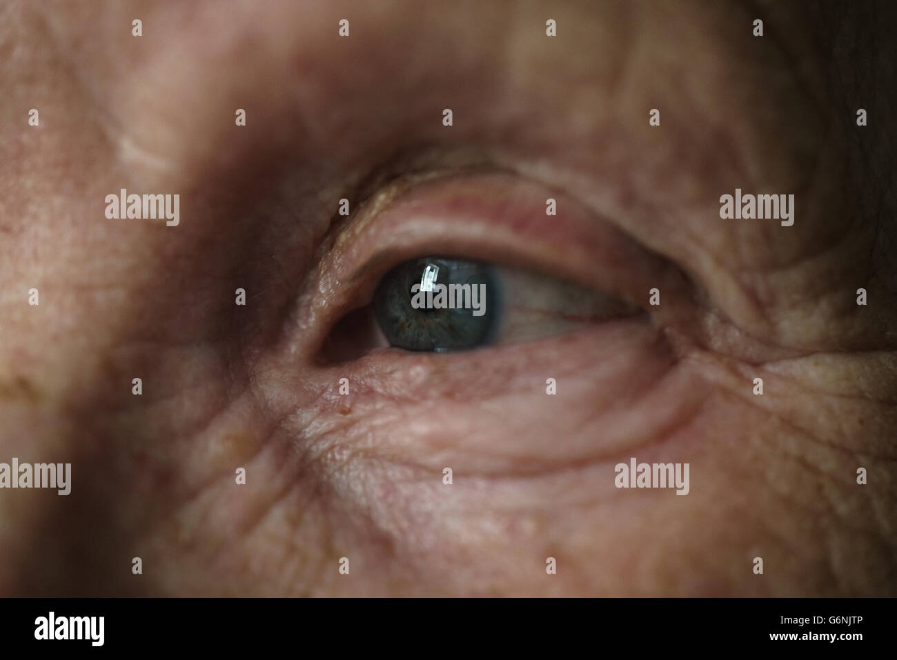 old woman blue-gray eye closeup photo Stock Photo