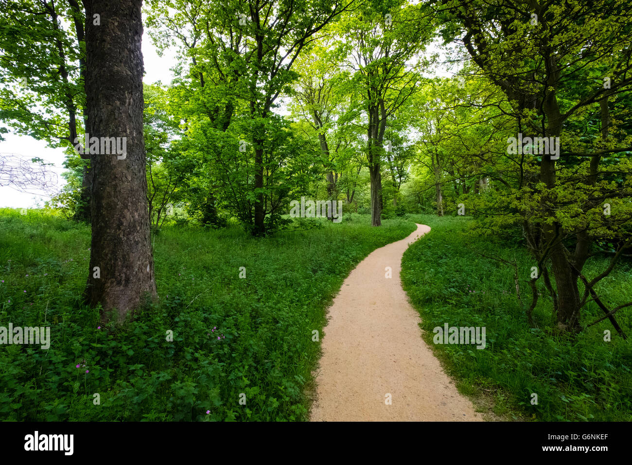 Woodland path at Jupiter Artland outside Edinburgh , Scotland , United Kingdom Stock Photo